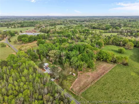 View/Area - 186 Lewis Brown Rd, Bennett, NC 27208 photo 7 of 8