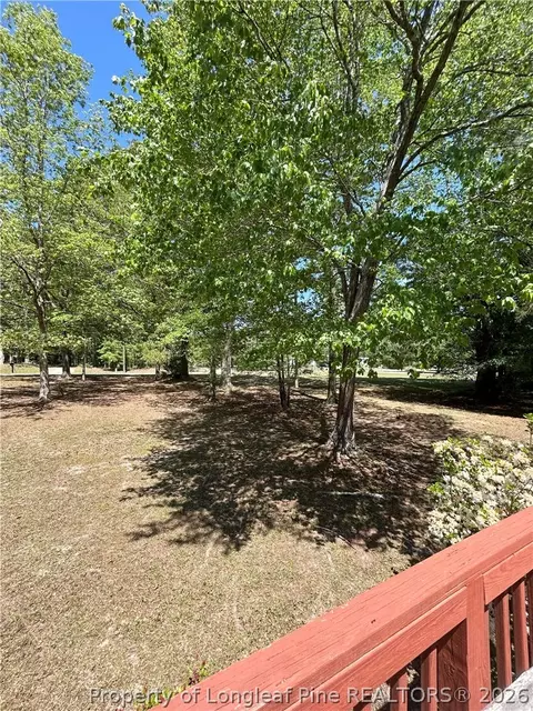 110 Kinton Dr, Willow Spring, NC 27592 photo 7
