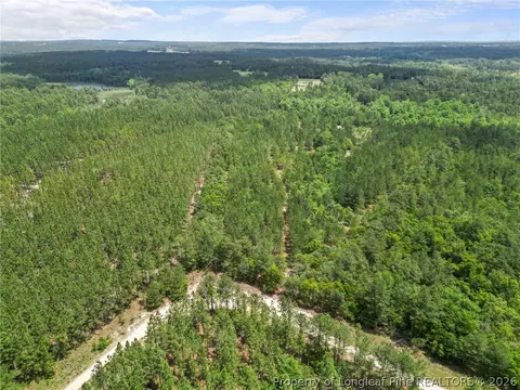 Nighthawk Loop, Aberdeen, NC 28315 photo 11