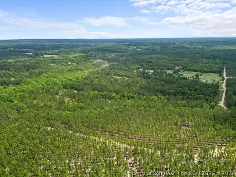 Nighthawk Loop, Aberdeen, NC 28315 photo 10