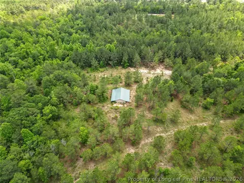 Nighthawk Loop, Aberdeen, NC 28315 photo 9