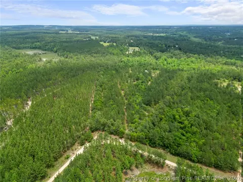 Nighthawk Loop, Aberdeen, NC 28315 photo 5