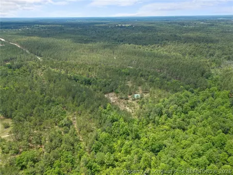 Nighthawk Loop, Aberdeen, NC 28315 photo 7