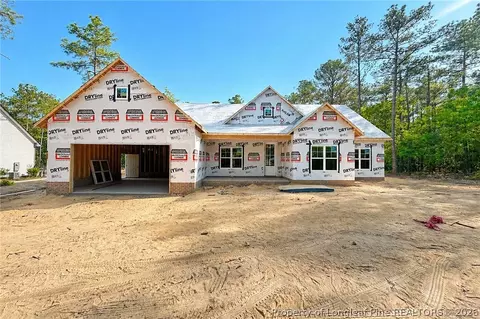 26820 Peach Orchard Rd, Wagram, NC 28396