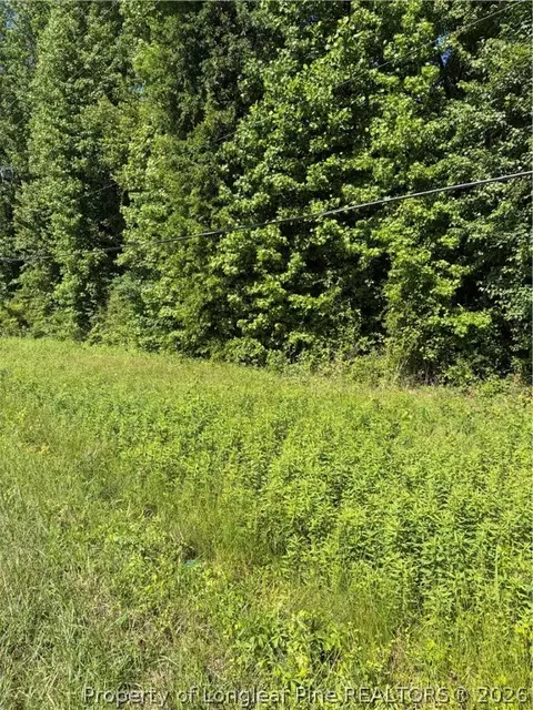 Lemon Springs Road, Sanford, NC 27332
