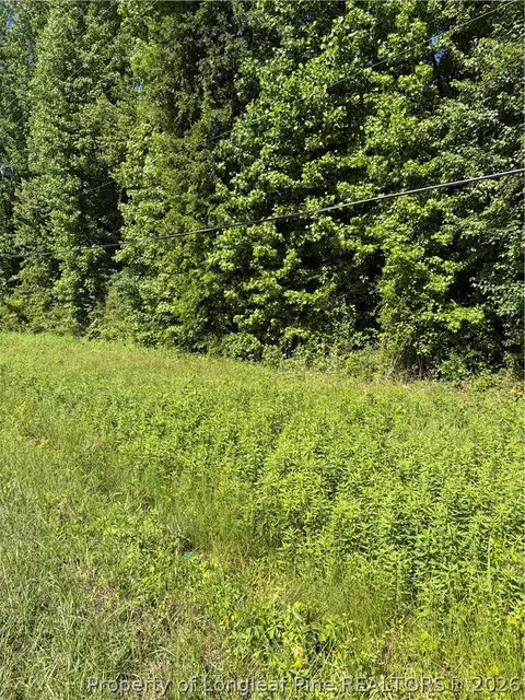 Lemon Springs Road, Sanford, NC 27332