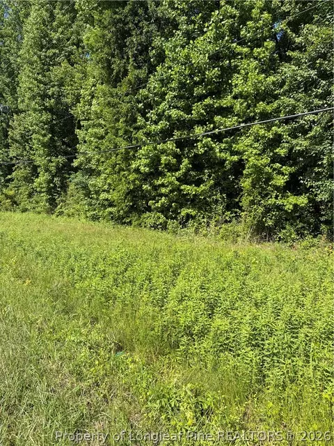 Lemon Springs Road, Sanford, NC 27332