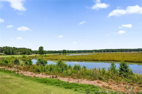 View/Area - 691 Bald Eagle Dr, Vass, NC 28394 photo 2 of 3
