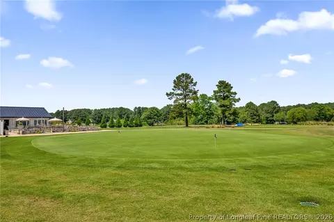 Exterior - 691 Bald Eagle Dr, Vass, NC 28394 photo 8 of 9