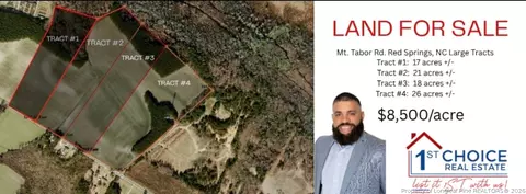 Mt. Tabor Road, Red Springs, NC 28377