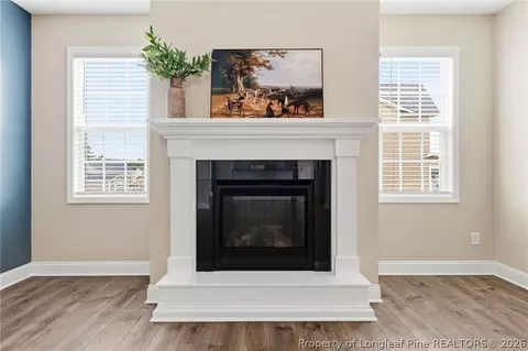 Other - 41 Silk Oak Dr, Bunnlevel, NC 28323 photo 1 of 10