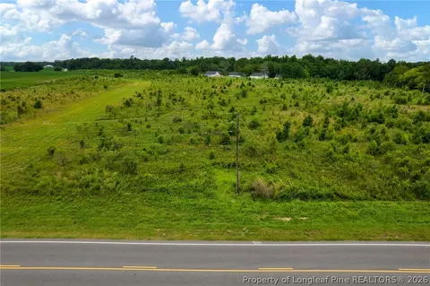 Wallace Mclean Road, Raeford, NC 28376 photo 9