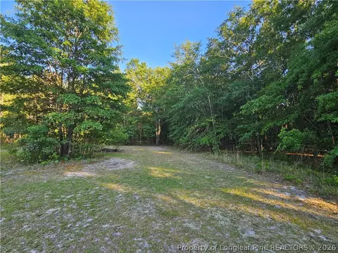 18420 Quicktown Rd, Hamlet, NC 28345 photo 35