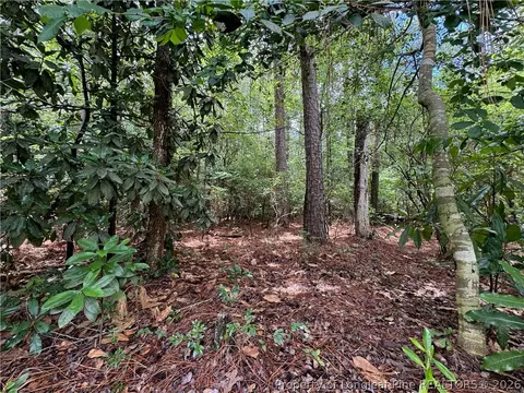 tbd Myra Rd, Raeford, NC 28376 photo 15