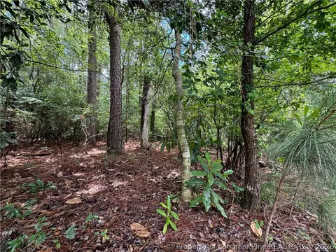 tbd Myra Rd, Raeford, NC 28376 photo 16