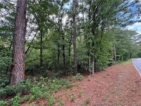 tbd Myra Rd, Raeford, NC 28376 photo 13