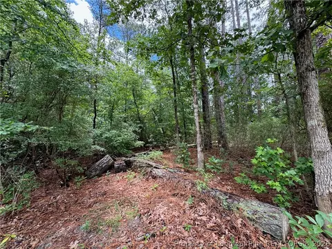 tbd Myra Rd, Raeford, NC 28376 photo 19