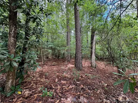 tbd Myra Rd, Raeford, NC 28376 photo 17