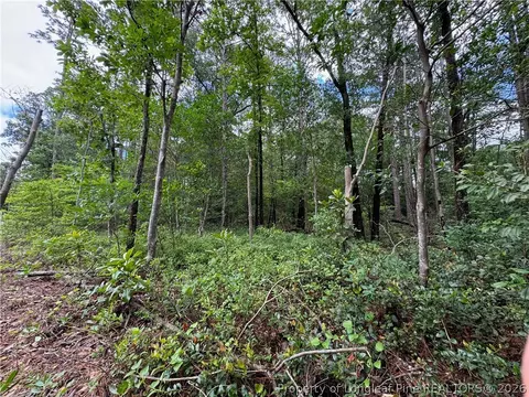 tbd Myra Rd, Raeford, NC 28376 photo 21