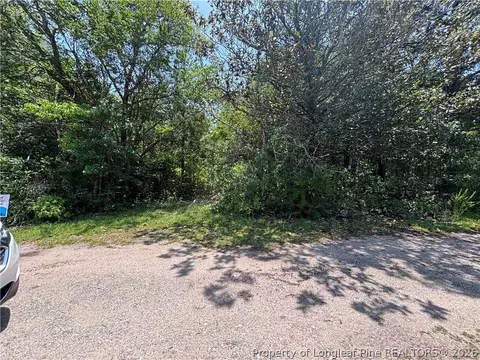 Doby Drive, Raeford, NC 28376 photo 5