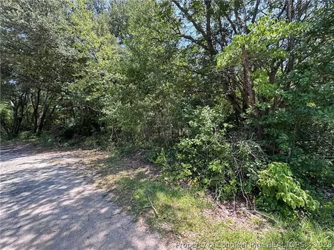 Doby Drive, Raeford, NC 28376 photo 2
