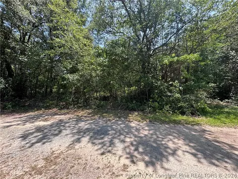 Doby Drive, Raeford, NC 28376 photo 4
