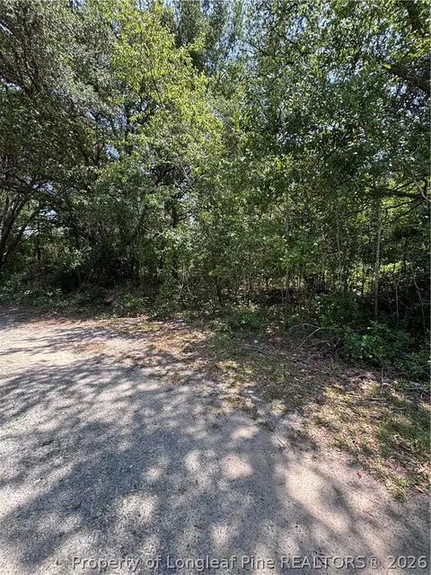 Doby Drive, Raeford, NC 28376 photo 9