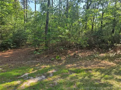 tbd King Ct, Pinehurst, NC 28374 photo 2
