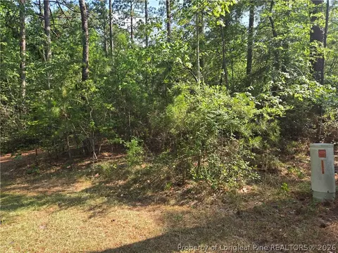 tbd King Ct, Pinehurst, NC 28374 photo 5
