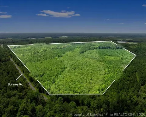 Burney Road, White Oak, NC 28399