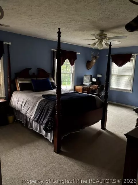 Bedroom - 3744 Nc Hwy 210 Hwy, Harrells, NC 28444 photo 3 of 5