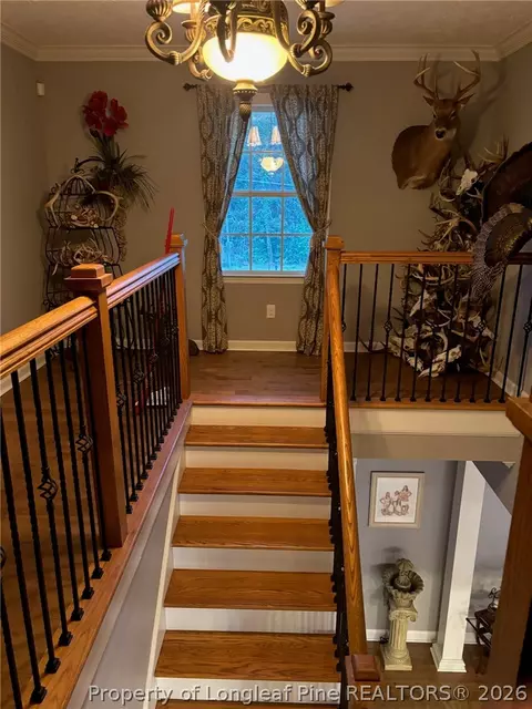 Entry Way - 3744 Nc Hwy 210 Hwy, Harrells, NC 28444 photo 4 of 5