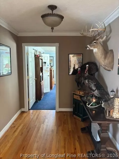 Entry Way - 3744 Nc Hwy 210 Hwy, Harrells, NC 28444 photo 1 of 5