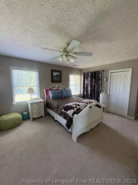 Bedroom - 3744 Nc Hwy 210 Hwy, Harrells, NC 28444 photo 4 of 5