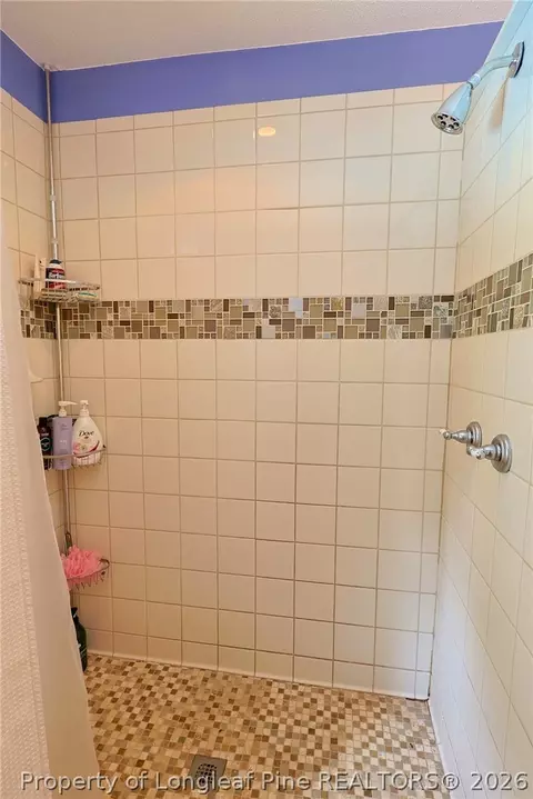 Bath - 641 Sunridge Dr, Cameron, NC 28326 photo 5 of 5