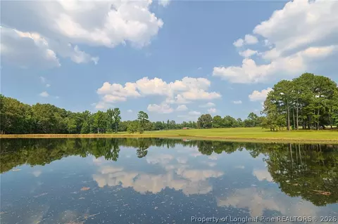 View/Area - 641 Sunridge Dr, Cameron, NC 28326 photo 1 of 1