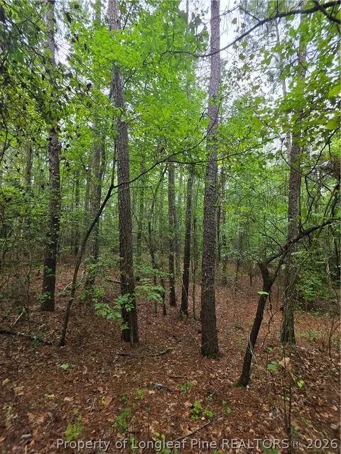 Other - West Road, Cameron, NC 28326 photo 9 of 12