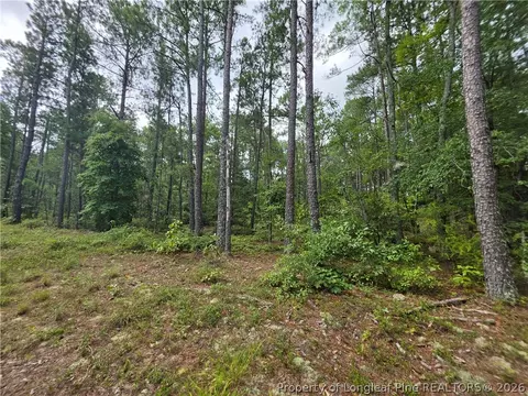Other - West Road, Cameron, NC 28326 photo 4 of 12