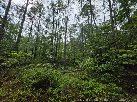 Exterior - West Road, Cameron, NC 28326 photo 2 of 2