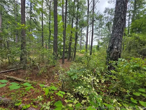 Other - West Road, Cameron, NC 28326 photo 7 of 12