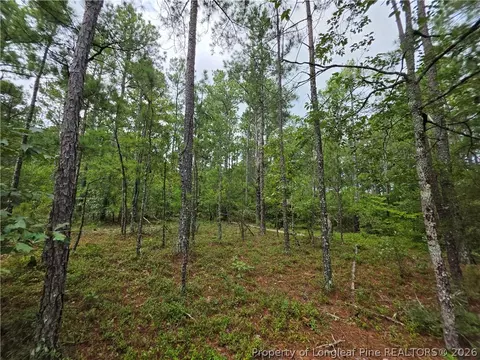 Other - West Road, Cameron, NC 28326 photo 5 of 12