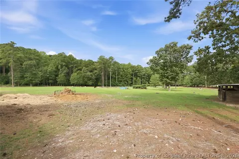 Exterior - 254 Docs Rd, Lillington, NC 27546 photo 4 of 6