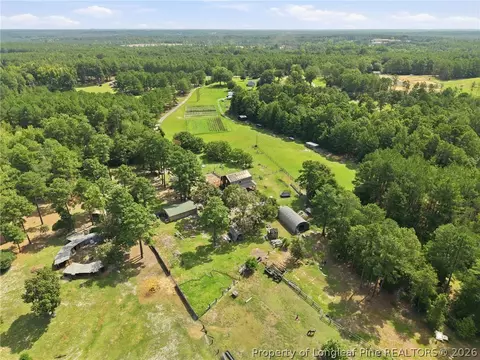 View/Area - 254 Docs Rd, Lillington, NC 27546 photo 1 of 2