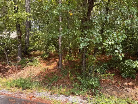 668 Chelsea Dr, Sanford, NC 27332