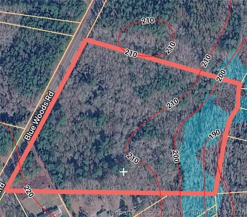 Blue Woods Road, Laurinburg, NC 28352