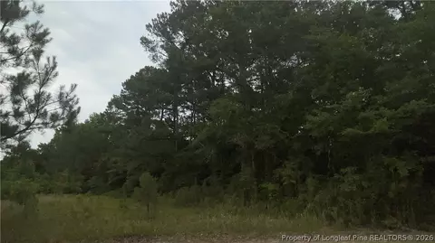 Sanderosa Road, Fayetteville, NC 28312
