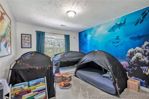 Bedroom - 10 Rolling Stone Ct, Sanford, NC 27332 photo 4 of 4