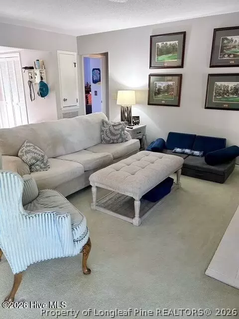 Living - 250 Sugar Gum Ln # 252, Pinehurst, NC 28374 photo 1 of 2
