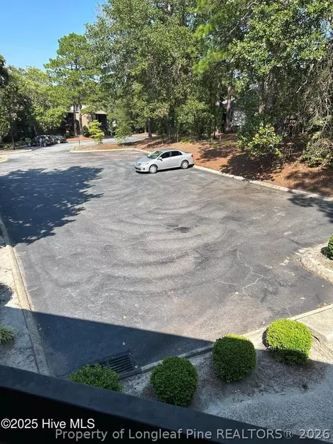 Exterior - 250 Sugar Gum Ln # 252, Pinehurst, NC 28374 photo 4 of 6