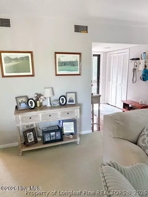 Entry Way - 250 Sugar Gum Ln # 252, Pinehurst, NC 28374 photo 1 of 1